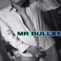 MRBULLX1