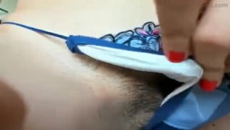 DelightfulHug 亚洲毛茸茸的猫