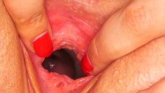 Bèi bèi chōuchù shī māo hé gāocháo-guānbì dúzòu