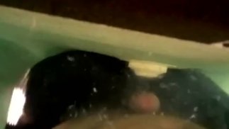 免提暨公共游泳池