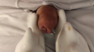 缓慢的早晨性高潮