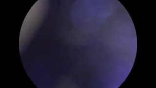 看看我的屁股里面