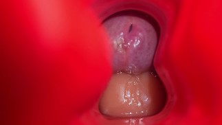 硬 precum 研磨直边亲密 frot Tserica 鸡巴块悬垂特写鸡巴短裤