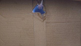 This Glory Straight Edge Hole Point Of Cock Box Dangling Close Up Cock Twink Shorties