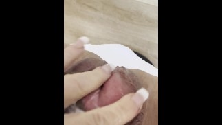 克拉克林和斯麦克林猫