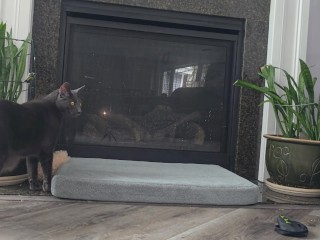 Not so Scary Straight Edge Fire Place Dangling Close up Cock